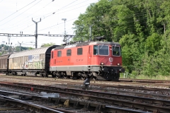 20140605_Cossonay (5)