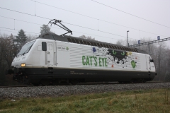 20131212_Vufflens-la-Ville (7)