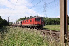 20130612_Bussigny (11)